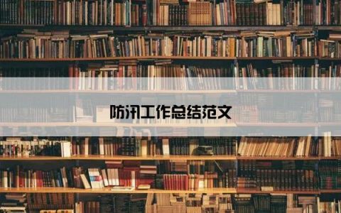 防汛工作总结范文