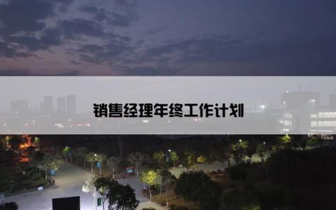 销售经理年终工作计划