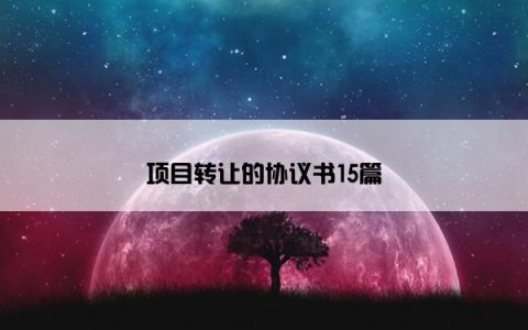 项目转让的协议书15篇