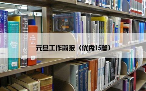 元旦工作简报（优秀15篇）
