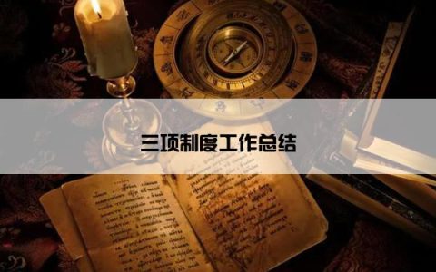 三项制度工作总结