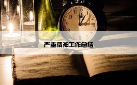严重精神工作总结