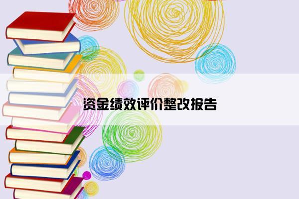 资金绩效评价整改报告