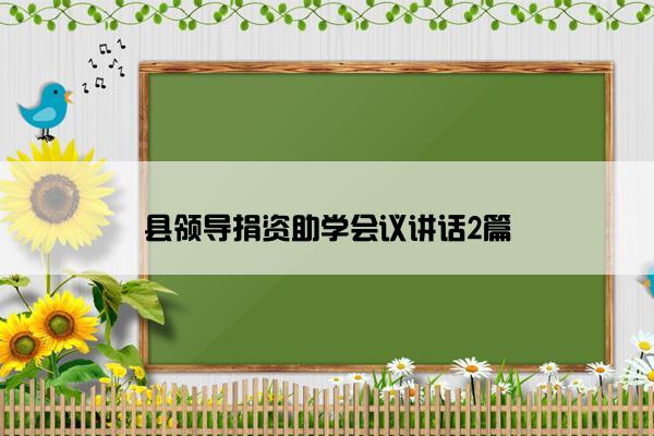 县领导捐资助学会议讲话2篇