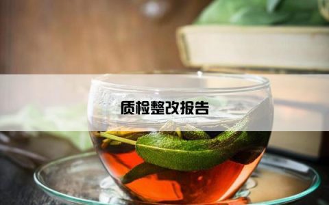 质检整改报告