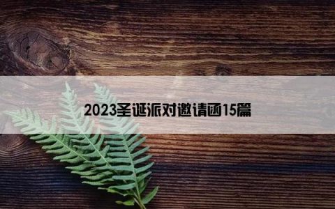 2023圣诞派对邀请函15篇