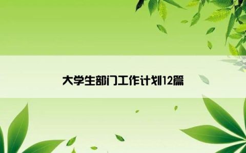 大学生部门工作计划12篇