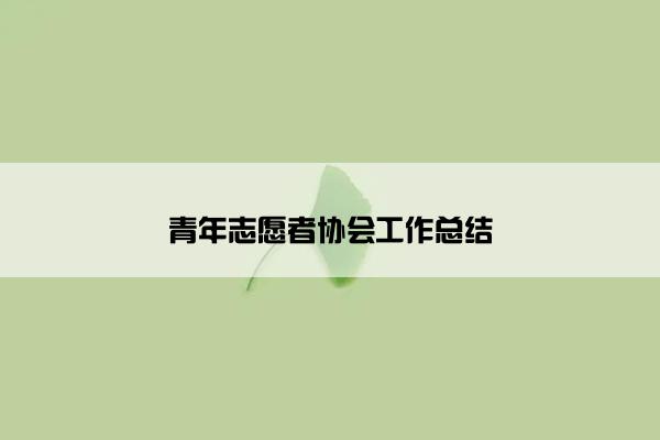 青年志愿者协会工作总结