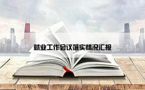 就业工作会议落实情况汇报