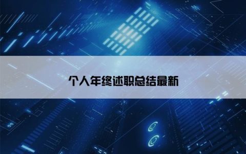 个人年终述职总结最新