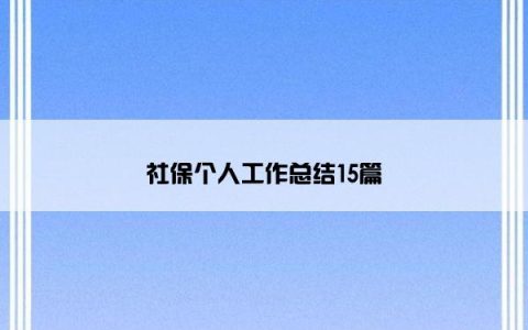 社保个人工作总结15篇