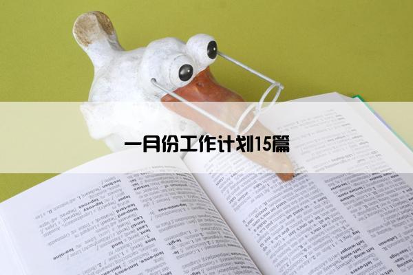 一月份工作计划15篇