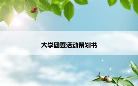 大学团委活动策划书