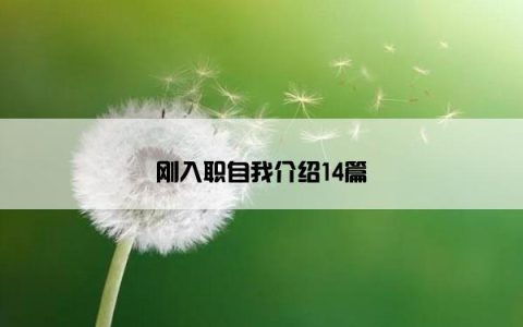 刚入职自我介绍14篇