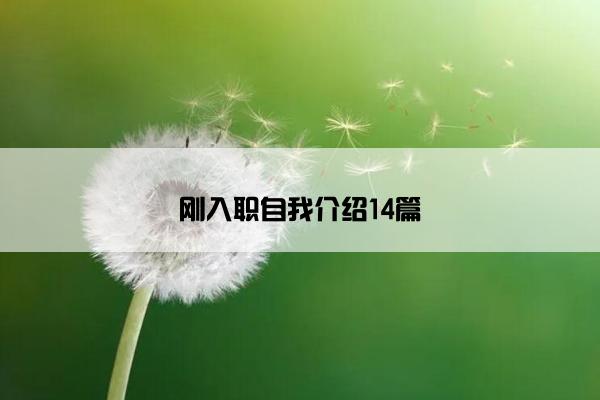 刚入职自我介绍14篇