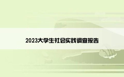 2023大学生社会实践调查报告