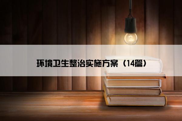 环境卫生整治实施方案（14篇）