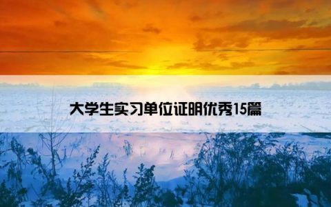 大学生实习单位证明优秀15篇