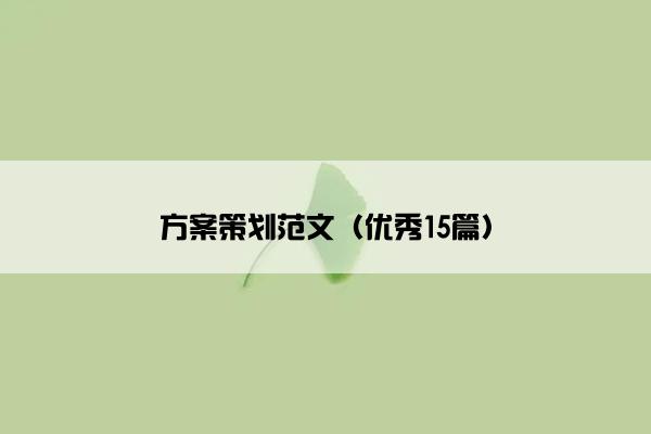 方案策划范文（优秀15篇）