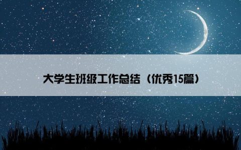 大学生班级工作总结（优秀15篇）