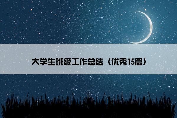 大学生班级工作总结（优秀15篇）