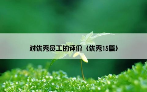 对优秀员工的评价（优秀15篇）