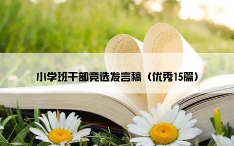 小学班干部竞选发言稿（优秀15篇）