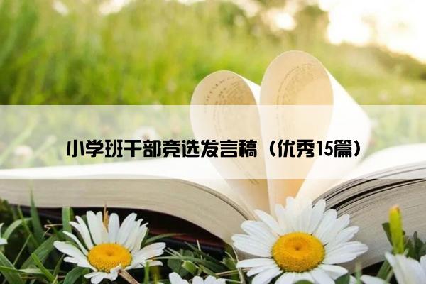 小学班干部竞选发言稿（优秀15篇）