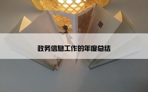 政务信息工作的年度总结