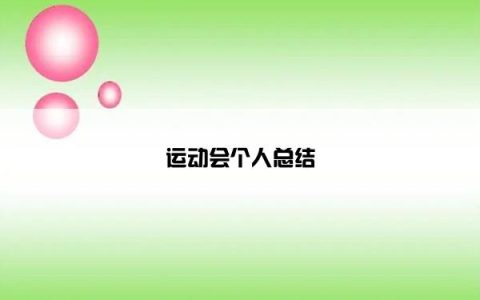 运动会个人总结