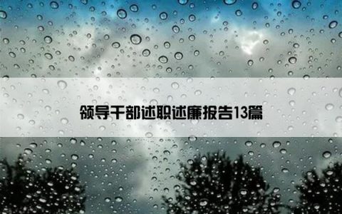 领导干部述职述廉报告13篇