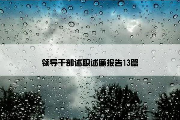 领导干部述职述廉报告13篇