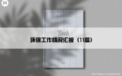 环保工作情况汇报（11篇）