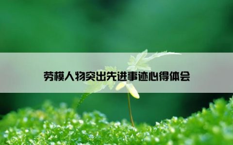 劳模人物突出先进事迹心得体会