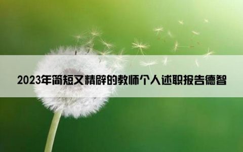 2023年简短又精辟的教师个人述职报告德智