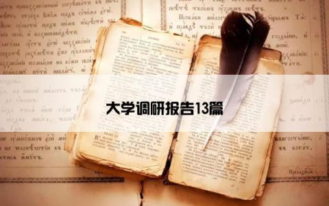 大学调研报告13篇