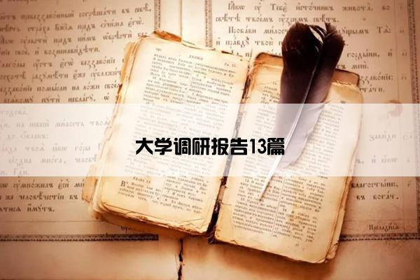 大学调研报告13篇