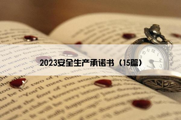 2023安全生产承诺书（15篇）