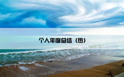个人年度总结（热）