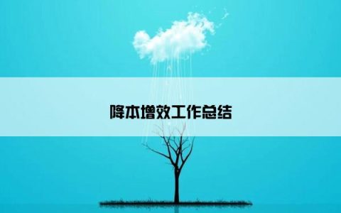 降本增效工作总结