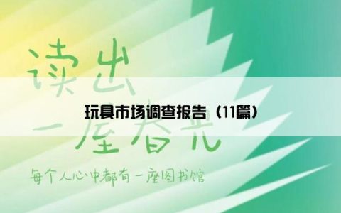 玩具市场调查报告（11篇）