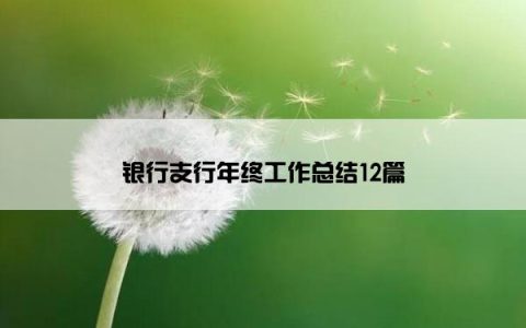 银行支行年终工作总结12篇