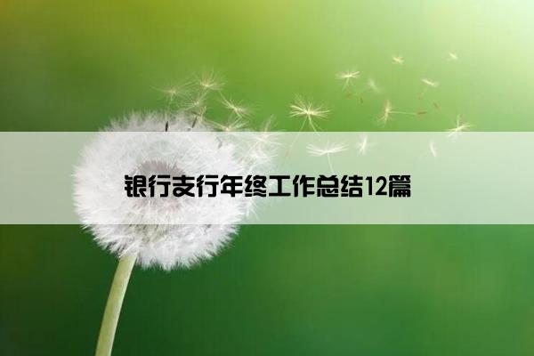 银行支行年终工作总结12篇