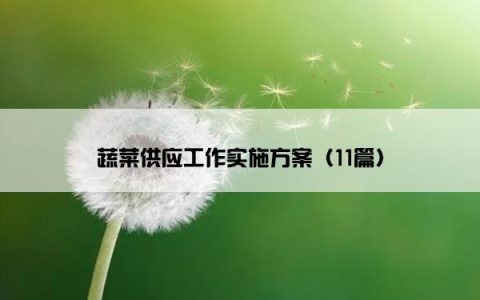 蔬菜供应工作实施方案（11篇）