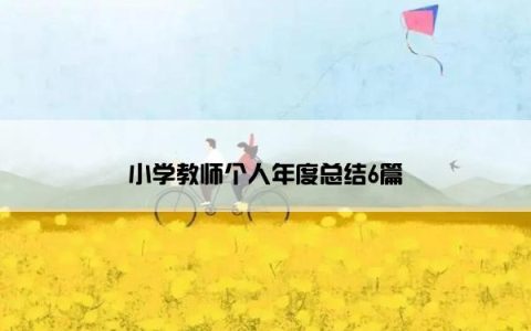 小学教师个人年度总结6篇