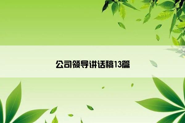 公司领导讲话稿13篇