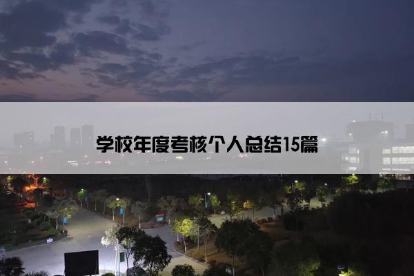 学校年度考核个人总结15篇