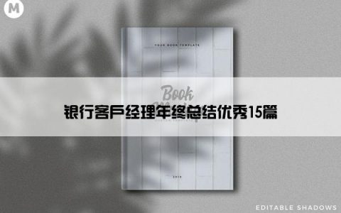 银行客户经理年终总结优秀15篇