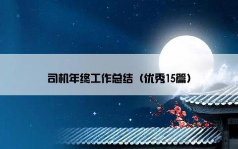 司机年终工作总结（优秀15篇）