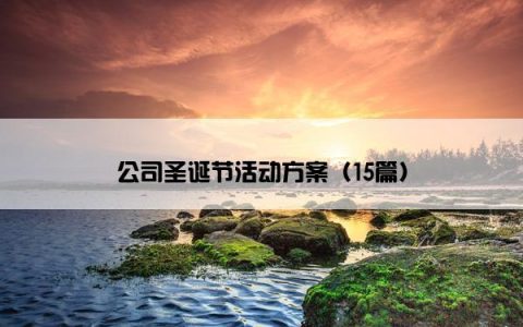 公司圣诞节活动方案（15篇）